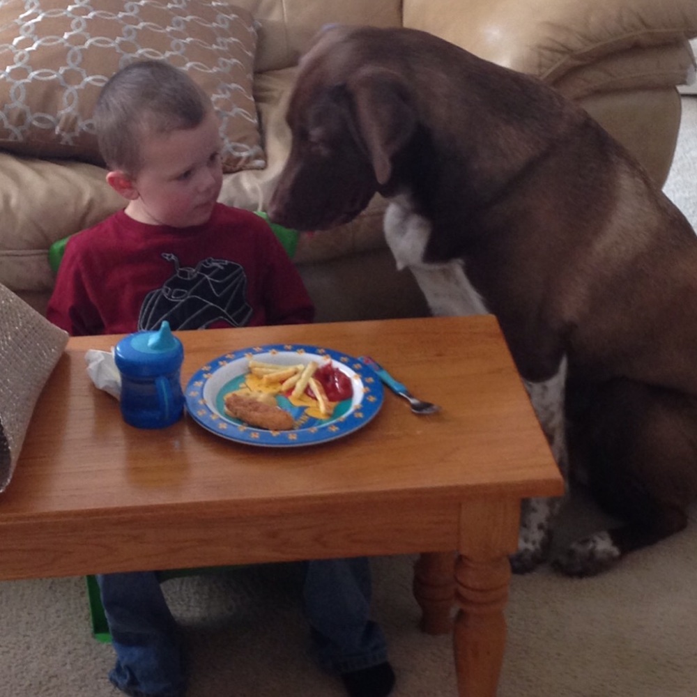 PLEASE SHARE THE LOVE! I WILL SHARE BACK! - Picture 3 of 8